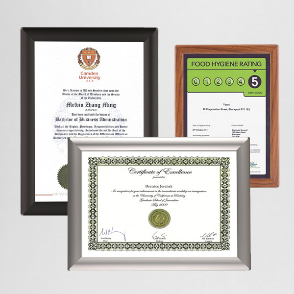 A4 Certificate Snap Frame Wall Mounted/Freestanding